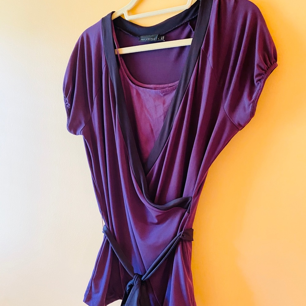 EUC THE LIMITED PURPLE AND BLACK DRESS TOP